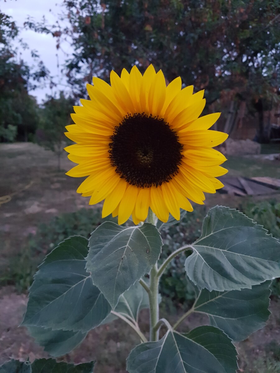 20220622 205939